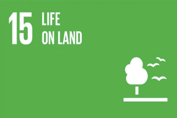Goal 15 - Life on Land