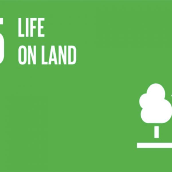 Goal 15 - Life on Land
